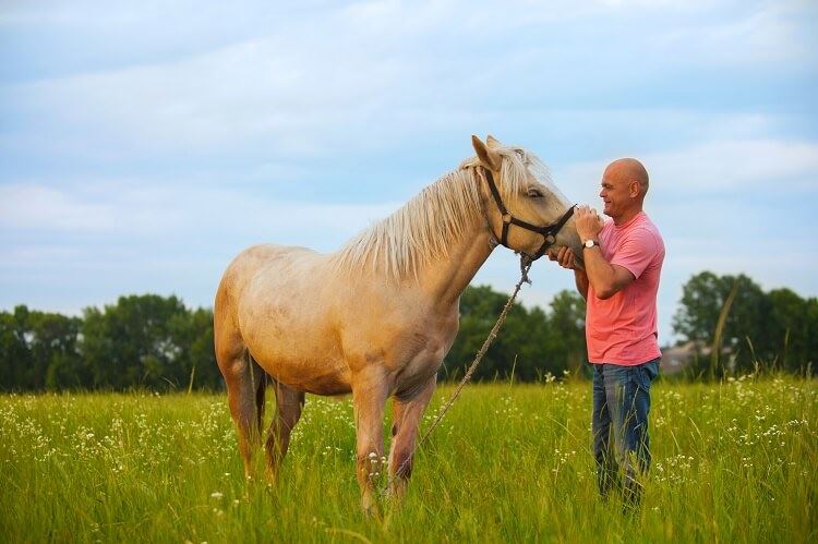 Adult male standing in a field with his horse